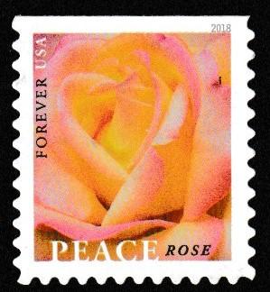 SC# 5280 - (50c)  Peace Rose - Used Single Off Paper