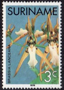 Suriname 429 - Mint-NH - 3c Orchid (1976) (cv $0.35)
