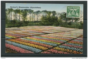 Netherlands 1929 Postal Card   to Estonia Kuressaare  Blooming Flowers