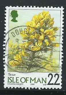 Isle of Man  SG 780 VFU imprint 1999