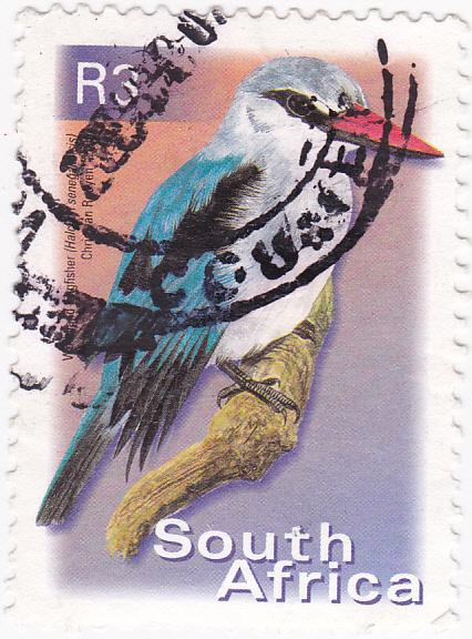 South Africa 2000  Birds Kingfisher R3 used SG 1236