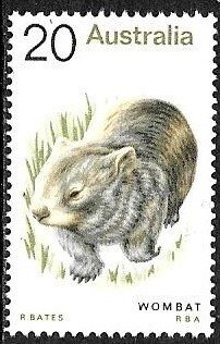 Australia Scott #565  Wombat  Mint NH OG VF