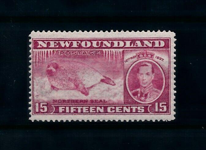 [99828] Netherlands 1937 Marine Life Seal From set MNH