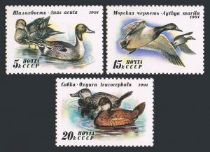 Russia 6009-6011 full sheets,MNH.Michel 6210-6212 bogens. Ducks-1991.Anas acuta,