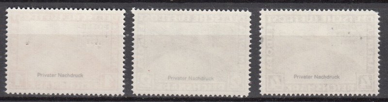 Germany - 1931 Polar-Fahrt private Nachdruck (7017)