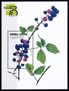 [66570] Sierra Leone 1999 Flora Fruit Blackberry Souvenir Sheet MNH