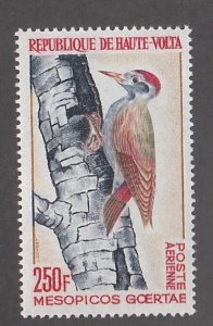 Burkina Faso # C18, Gray Woodpecker, Mint NH,