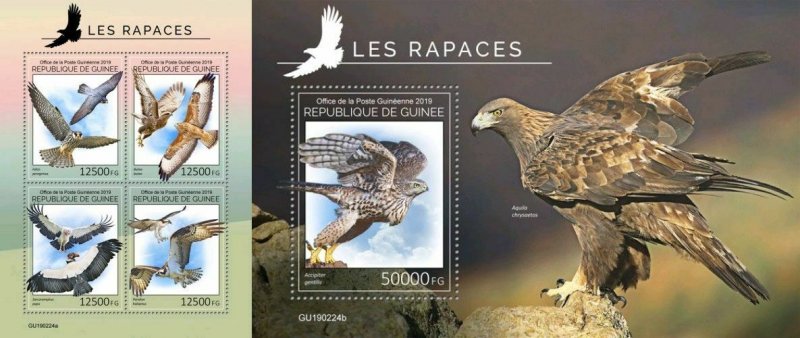 Z08 IMPERF GU190224ab GUINEA (Guinee) 2019 Birds of prey MNH ** Postfrisch