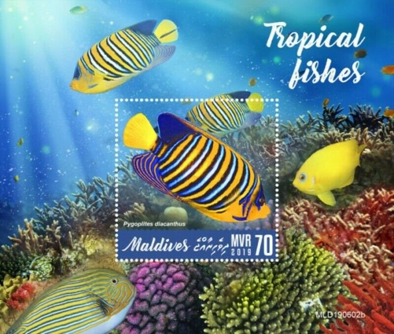 Maldives - 2019 Tropical Fishes - Stamp Souvenir Sheet - MLD190602b