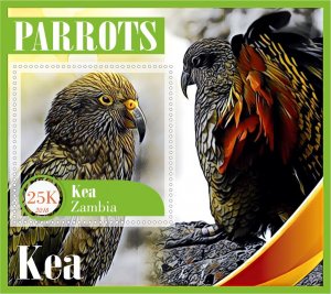 Stamps. Animals, Birds, Parrots  2018 year 6 sheets perf  Zambia