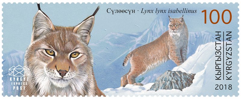 Stamps of Kyrgyzstan 2018. - Red Book of Kyrgyzstan - Turkestan lynx. Stamp.