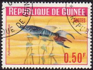 Guinea 317 - Cto - 50c Blue Gularis Fish (1964) (1)