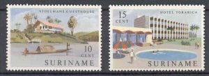 Suriname - 1962 - NVPH 386-87 - MNH - ZO122