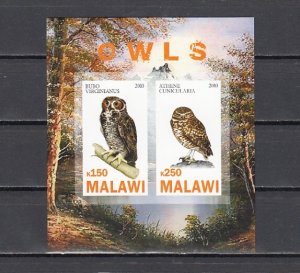 Malawi, 2010 Cinderella issue. Owls on an IMPERF sheet of 2.