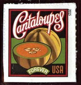 SCOTT 5006 CANTALOUPES  STAMP MNH FOREVER