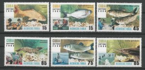 CUBA Sc# 4817A-4820 AQUACULTURE MARINE LIFE fish CPL SET of 6  2008  MNH