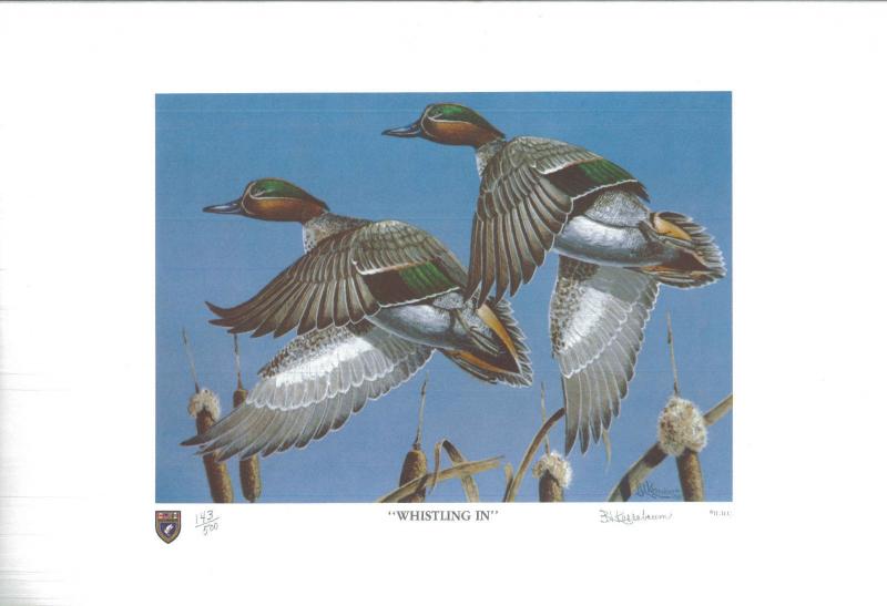 ILLINOIS #6 1980 STATE DUCK STAMP PRINT GREEN WINGED TEAL by Bartlett Kassabaum