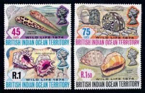 [66047] British Indian Ocean Territory 1974 Marine Life Seashells  MLH