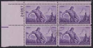 1060,used plate # 24967