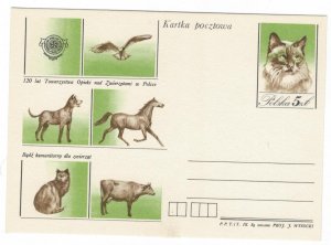 Poland 1984 Postal Stationary Postcard Stamp MNH Dog Cats Horse Bird Animal Prot