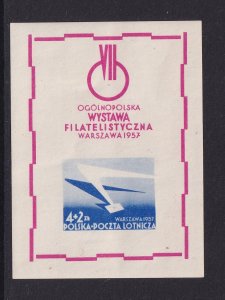 Poland   #CB1a  MNH  1957  sheet wing of jet plane and letter