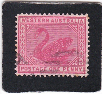 Western Australia,  #  59    used