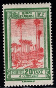 French Guiana Scott J15 MH* postage due stamp