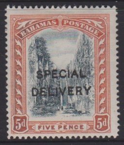 Bahamas Sc#E2 MH - shade