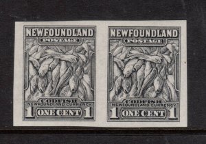 Newfoundland #253a Extra Fine Never Hinged Imperf Pair