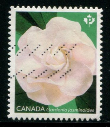 3170 Canada P Gardenia Flowers SA, used