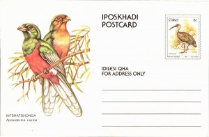 CISKEI -- SOUTH AFRICA, Worldwide Government Postal Card, Birds