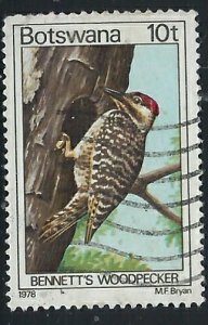 Botswana 204 Used 1978 Woodpecker (fe5827)