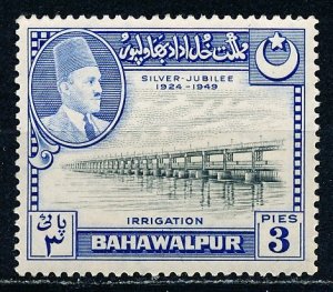 Bahawalpur #22 Single MNH