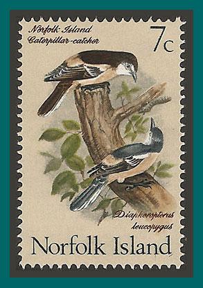 Norfolk Island 1970 Birds 2, Triller, MNH 131,SG108