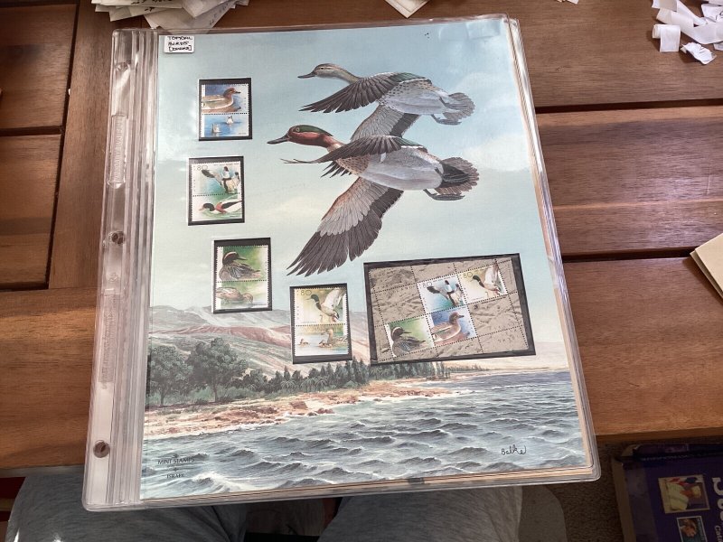 ICOLLECTZONE  Beautiful Duck 11x13 Presentation Piece with Stamps ( COL344a)