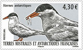 Scott #519 Antarctic Terns MNH