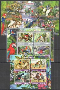 B0622 2017 Fauna Birds Parrots ! 3Kb Mnh