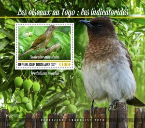 TOGO - 2020 - Birds of Togo, Honeyguides - Perf Souv Sheet - Mint Never Hinged