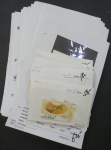 EDW1949SELL : CHINA Clean Modern collection of VF MNH sgls, sets & S/S. Cat $757