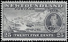 NEWFOUNDLAND   #242 MNH (1)