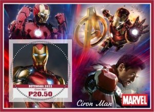 Stamps.Cinema. Marvel 2022 year  6 sheets perforated