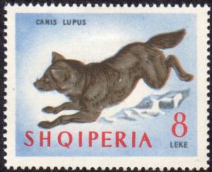 Albania 729 - Mint-H - 8L Gray Wolf (1964) (cv $5.50)