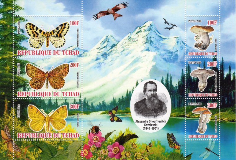 Chad 2010 Butterflies/Mushrooms/Birds 7 Souvenir Sheets Perforated MNH