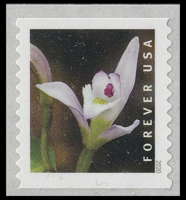 US 5444 Wild Orchids Triphora trianthophoros forever coil single MNH 2020