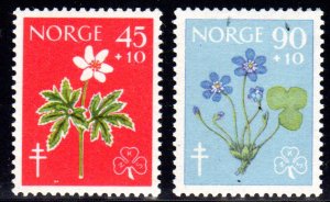 Norway  B62-63 mh cv$11.00