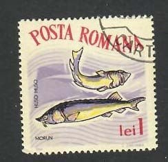 Romania; Scott 1641; 1964; Precanceled; NH; Fish