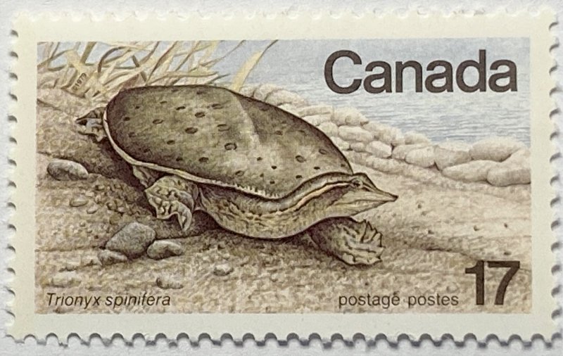 CANADA 1979 #813 Endangered Wildlife - MNH