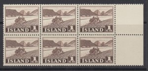 Iceland, Scott 264, MNH block of six