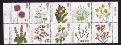 Great Britain Sc 2669a 2009 Endangered Plants stamp block of 10 mint NH