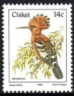 Ciskei - 1986 Birds 14c Hoopoe MNH** SG 14c